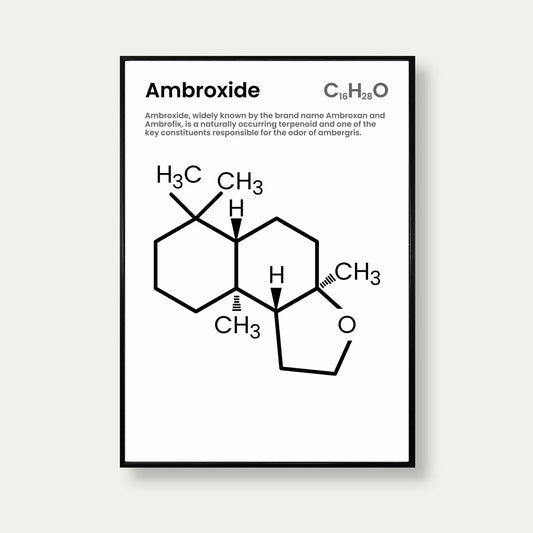 Ambroxide Fragrance Poster Print