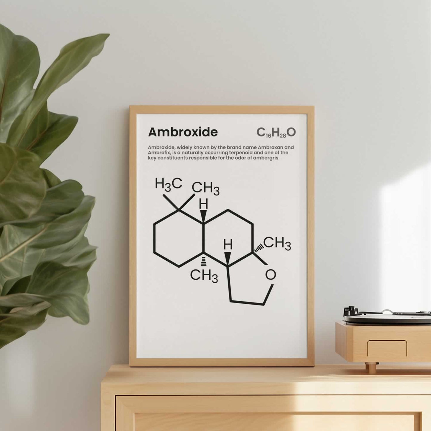 Ambroxide Fragrance Perfume Print