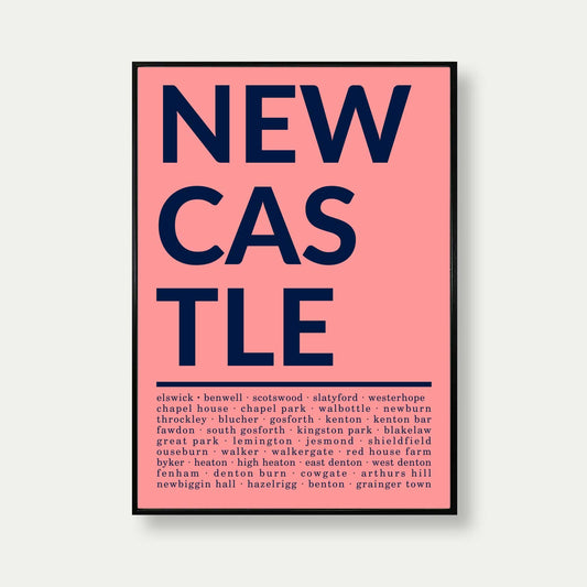 Areas Of Newcastle Print In Pink And Blue