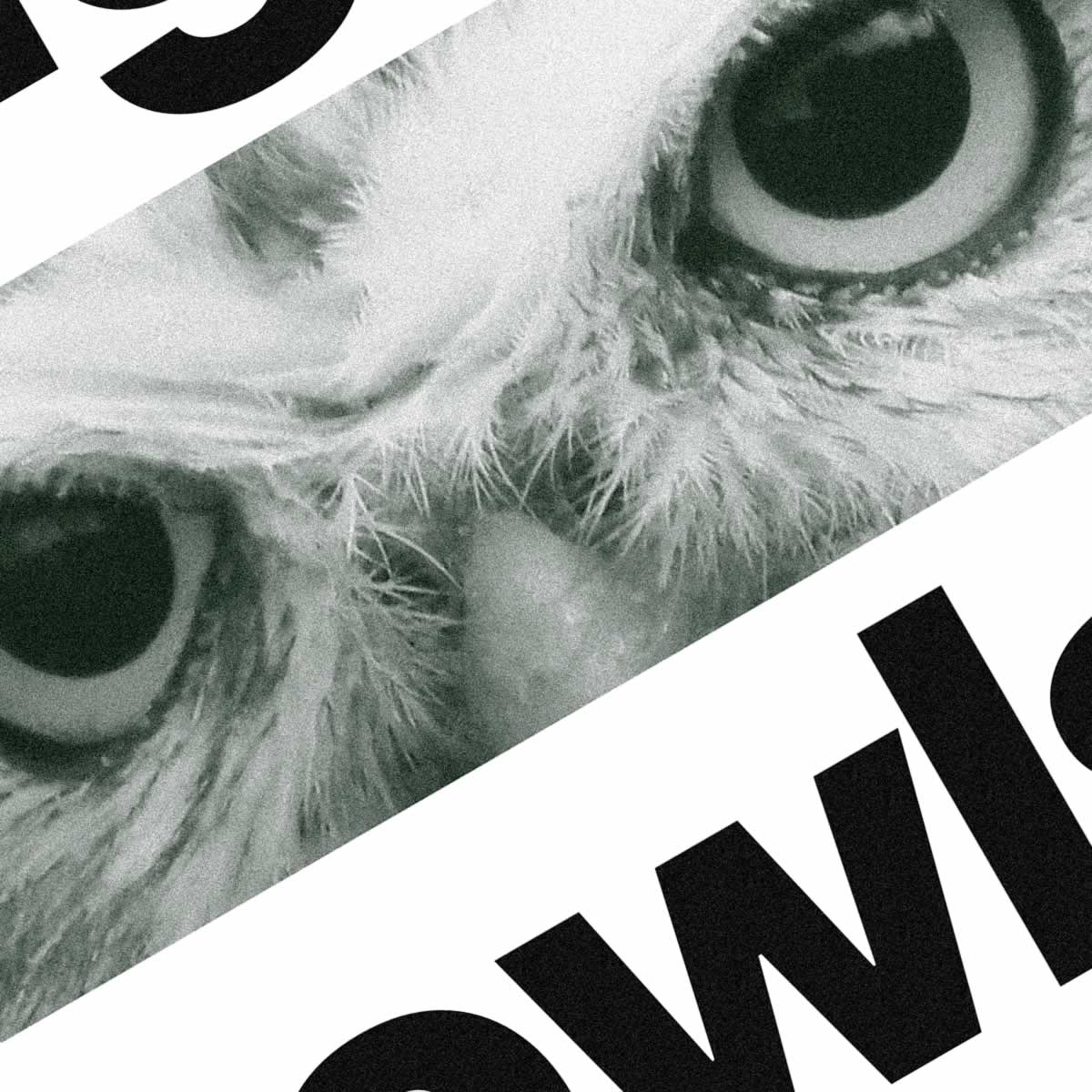 Night Owls Art Print Close Up